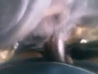 Blowjob in mouth 2